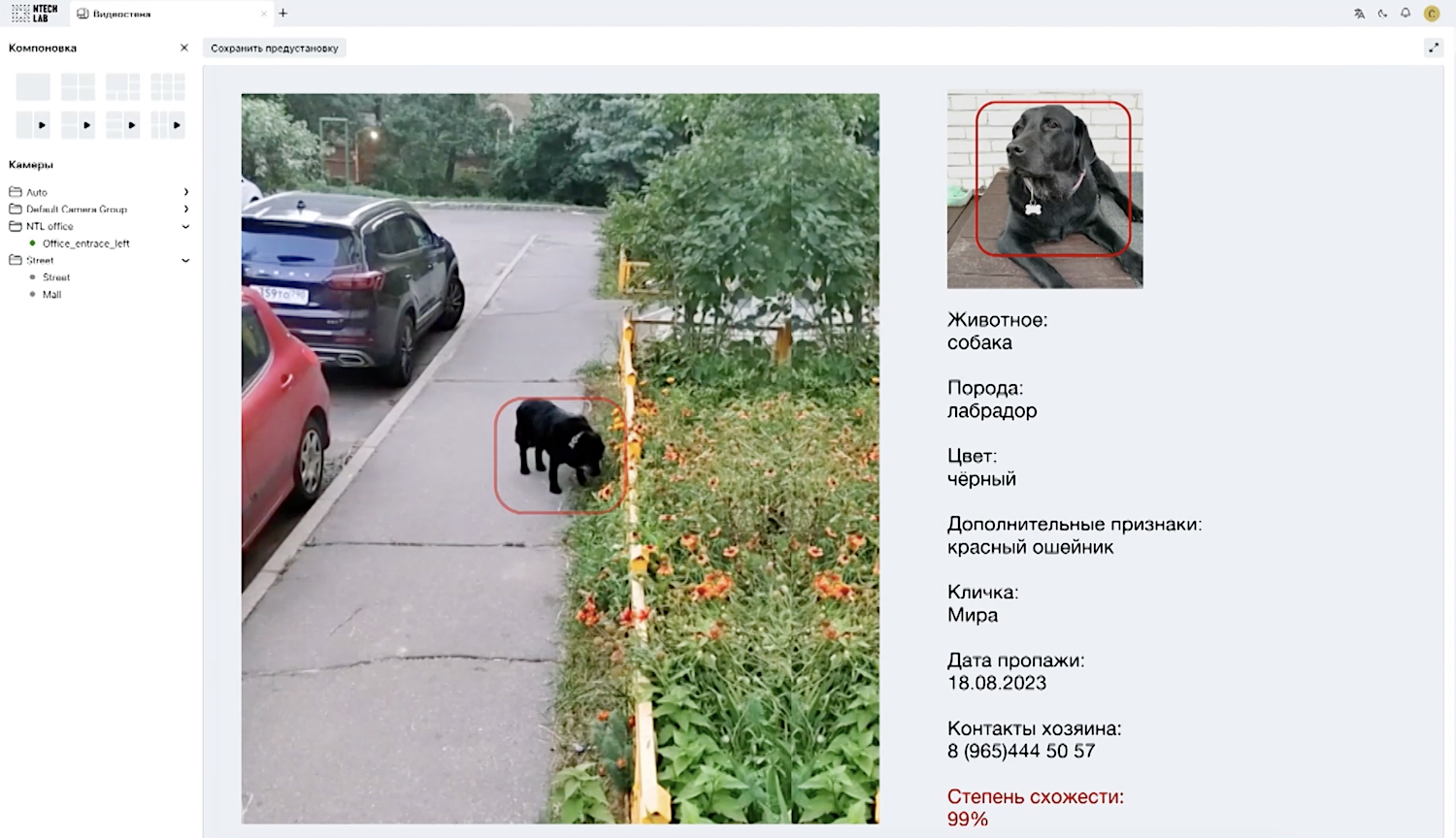 ИИ помог найти более тысячи домашних животных в Подмосковье - 1